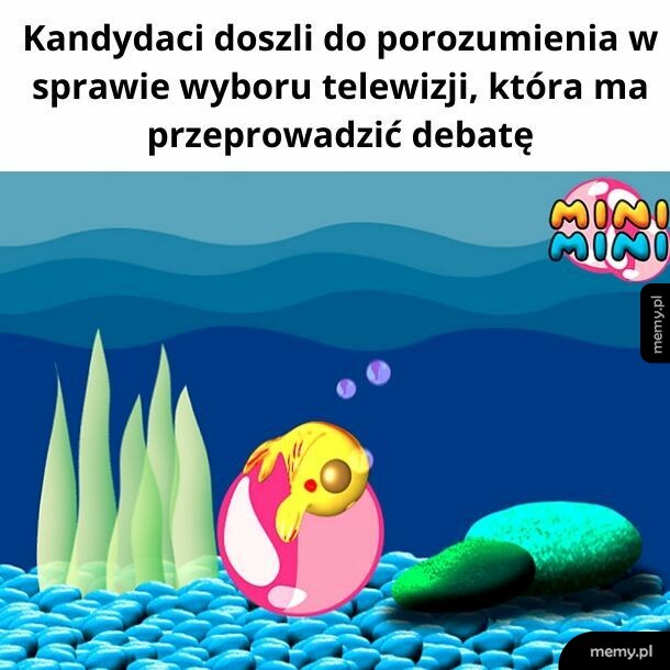 Najlepsza telewizja do bajek