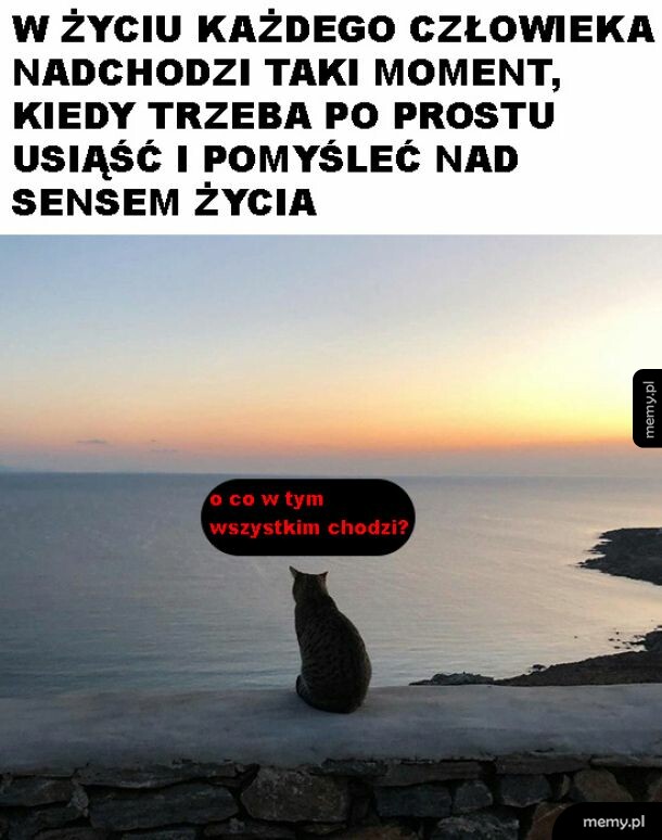 Rozkminy