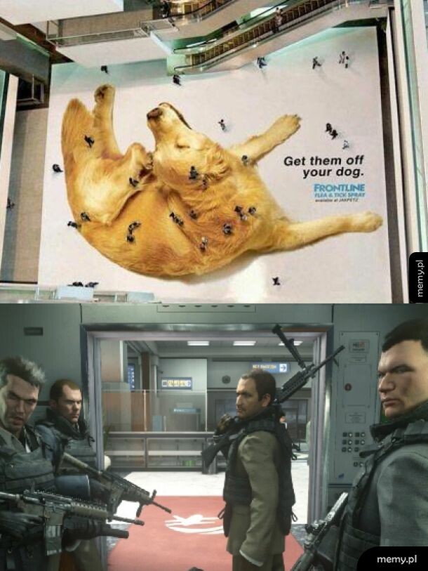 Remember