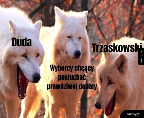 Debata