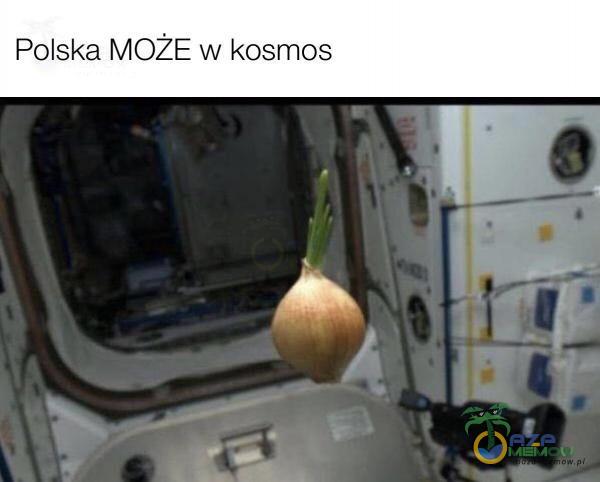 Polska może w kosmos