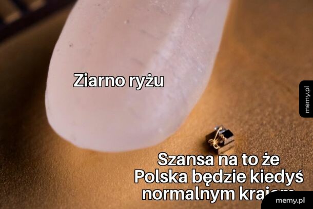 Dzięki za spieprzenie kolejnych 5 lat