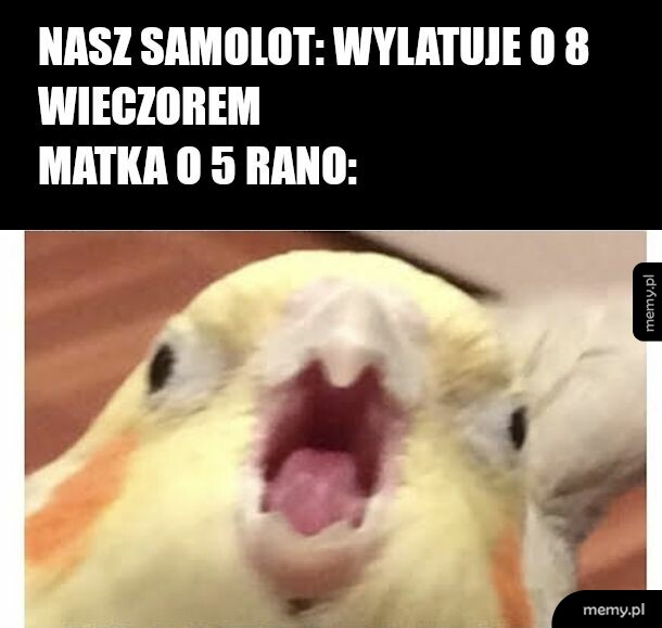 Ruchy! Już prawie ósma!