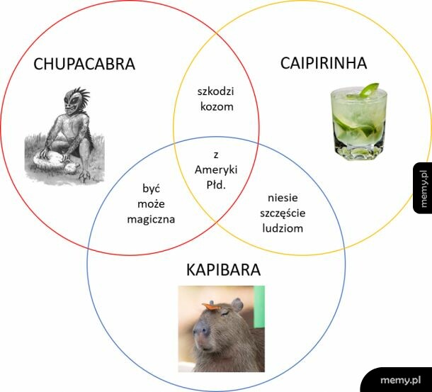 Kapibara