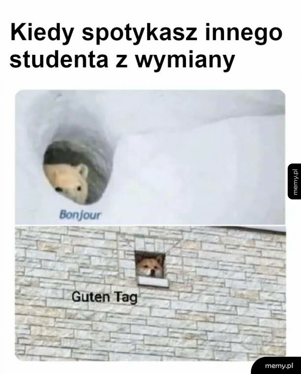 Studenci
