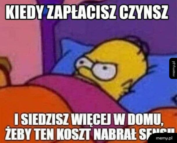 Czynsz