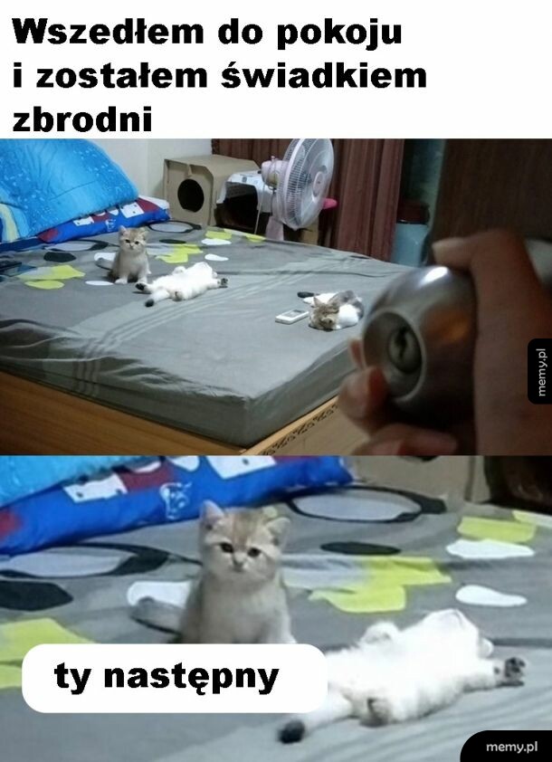 Zbrodnia