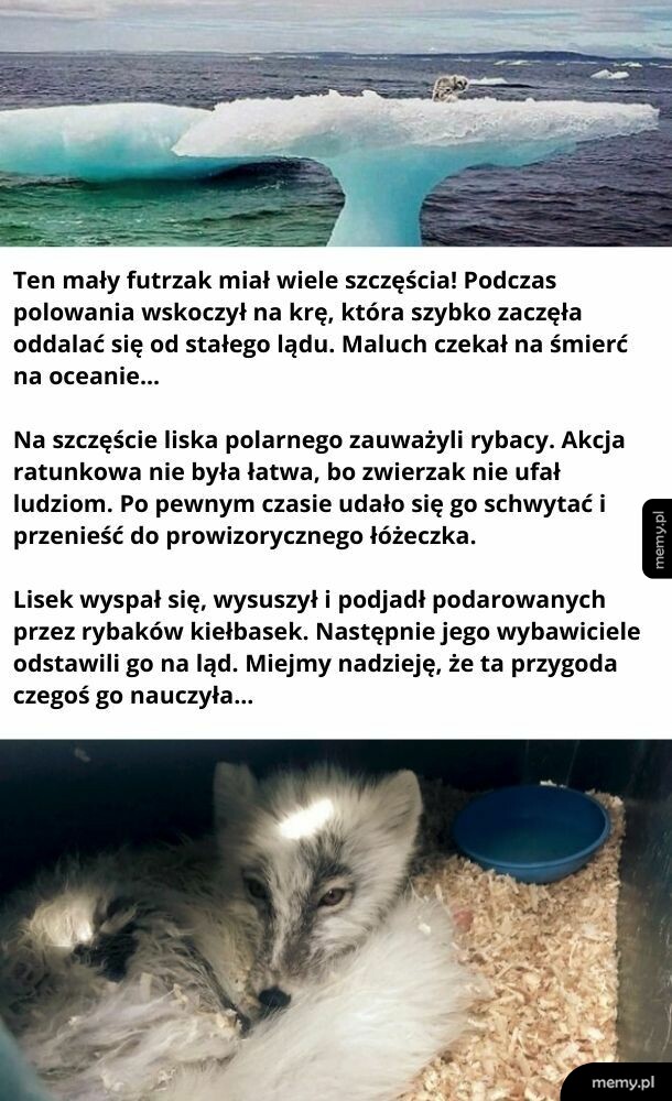 Wiara w ludzi przywrócona!