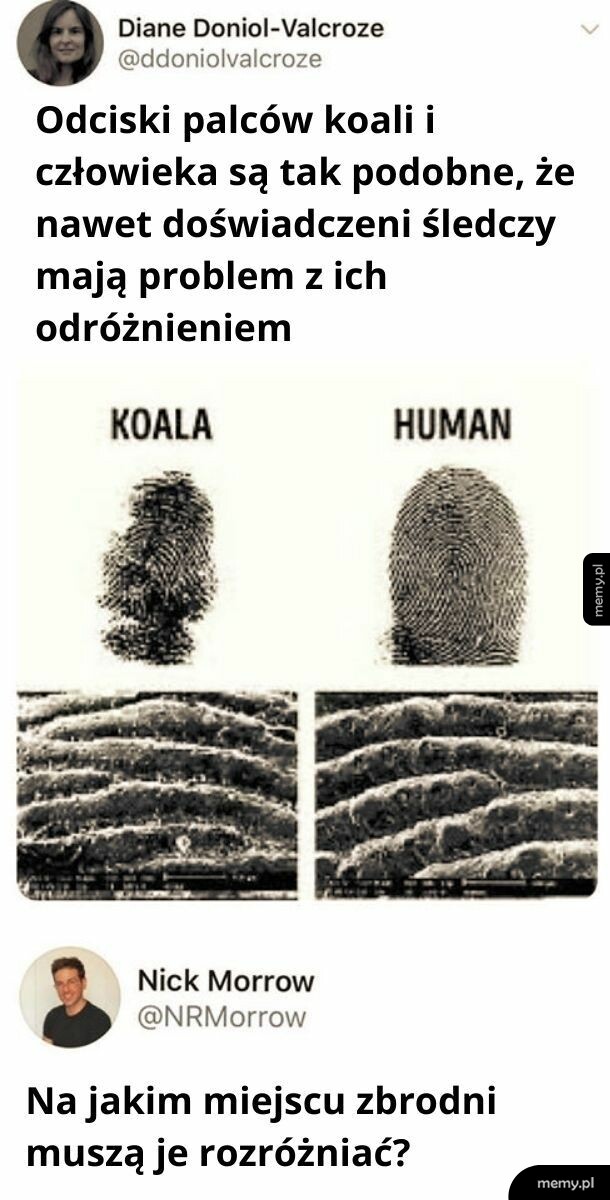 Australia to specyficzny kraj