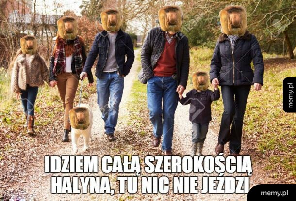 Janusze