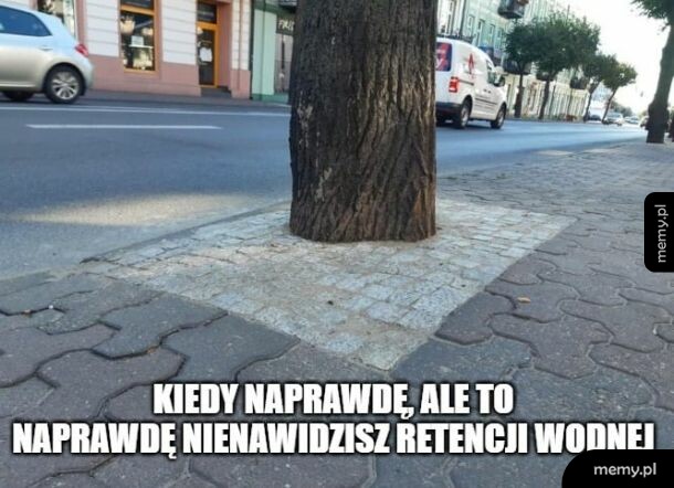Ciekawe, jak je podlewają