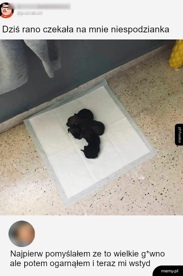 Trzeba przyjrzeć się solidnie