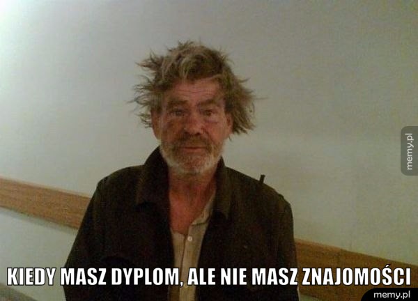 Studenci rozumieją