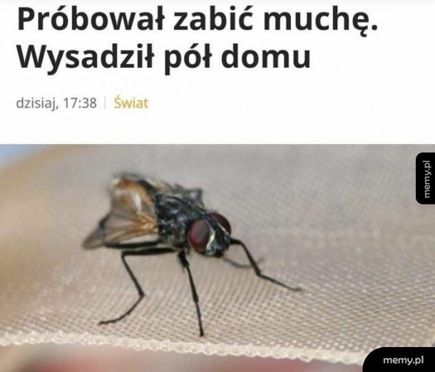 W pełni rozumiem