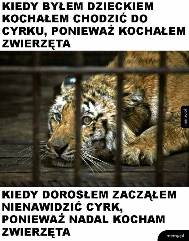 Niektórzy nadal pozostali dziećmi