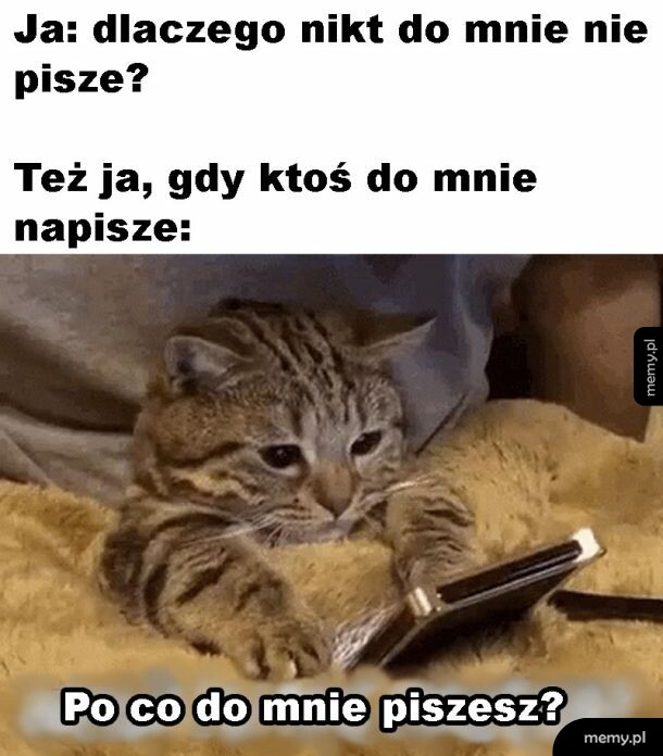Sprzeczność