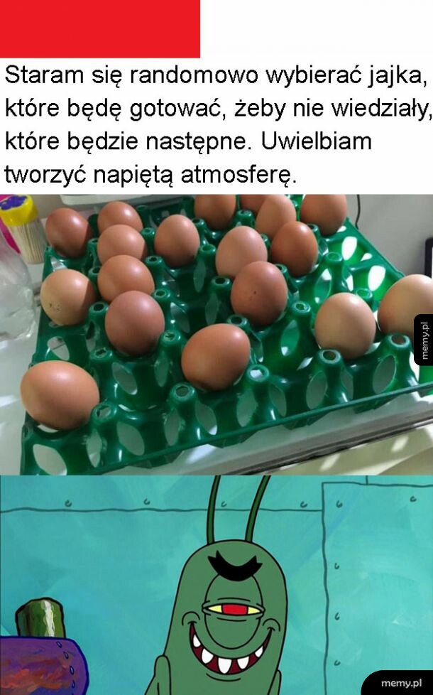 Napięta atmosfera wśród jajek