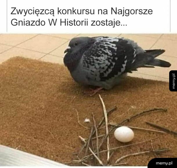 Starał się, no ale nie wyszło