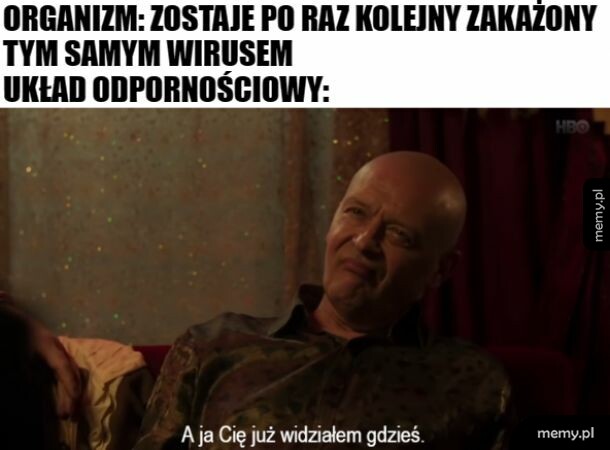 Przeciwciała
