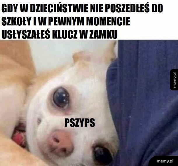 Jak to jest z wagarami