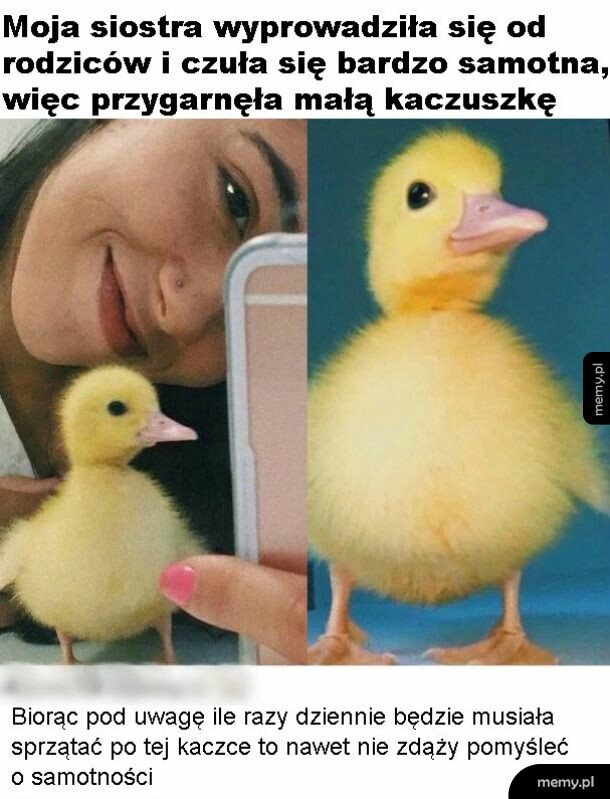 Dziwna zachcianka