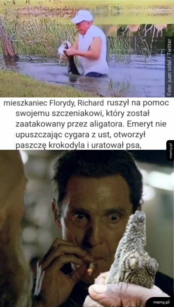 Twoje życie jest kompletne, możesz się wylogować