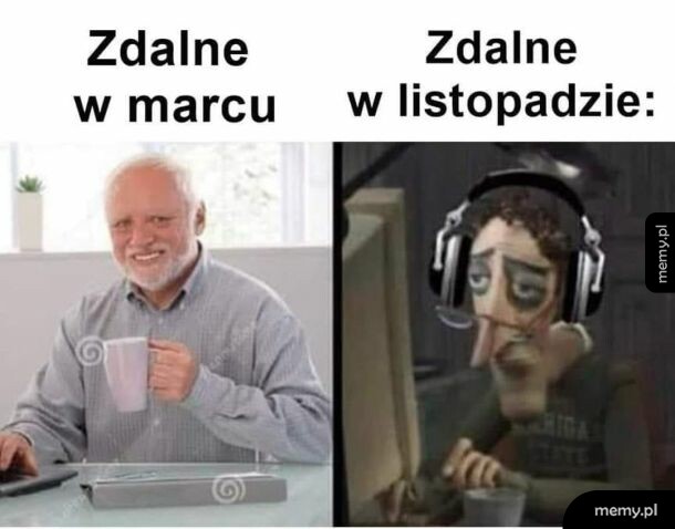 True