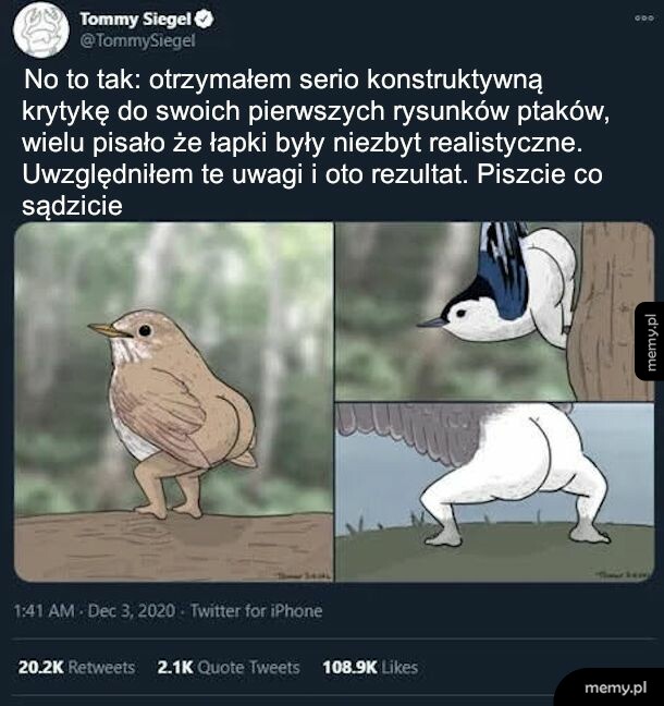 Ptasie nóżki
