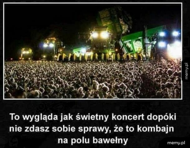 Pole