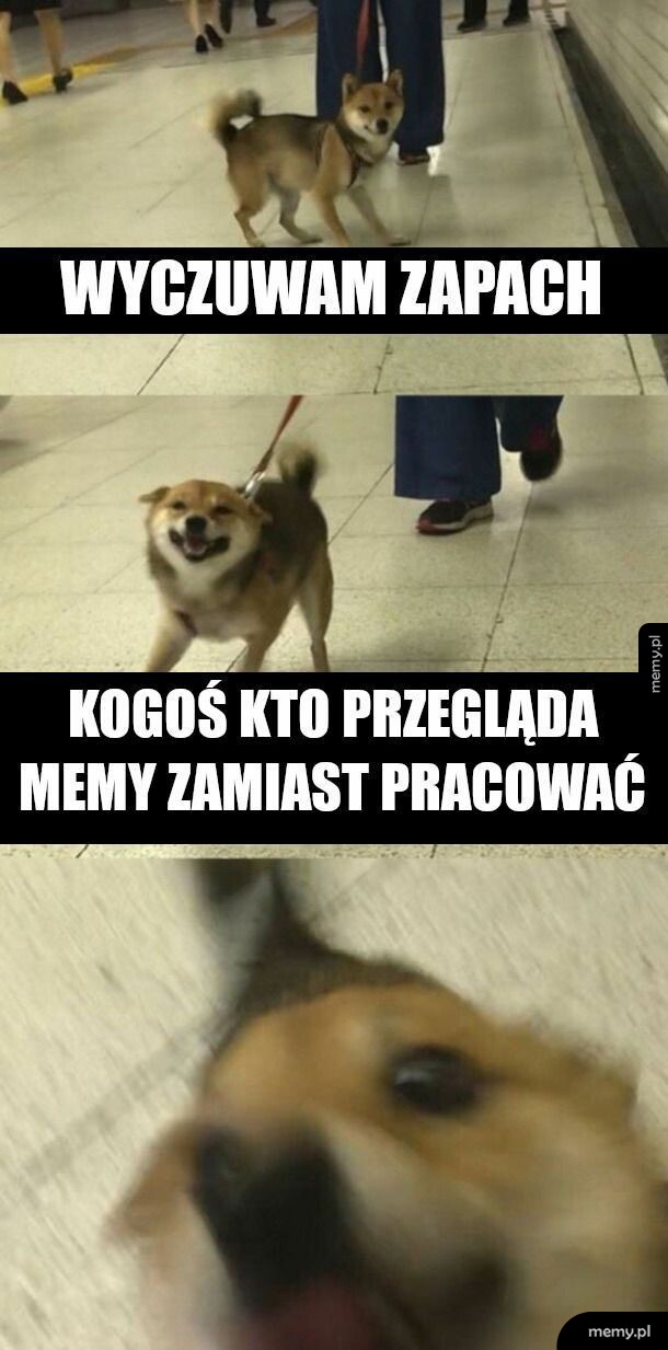 O a któż to