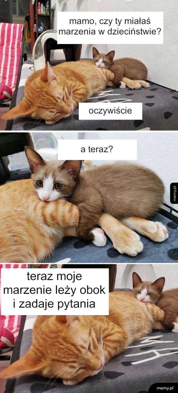 Mamo, mam pytanie