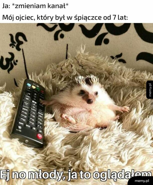 Stary