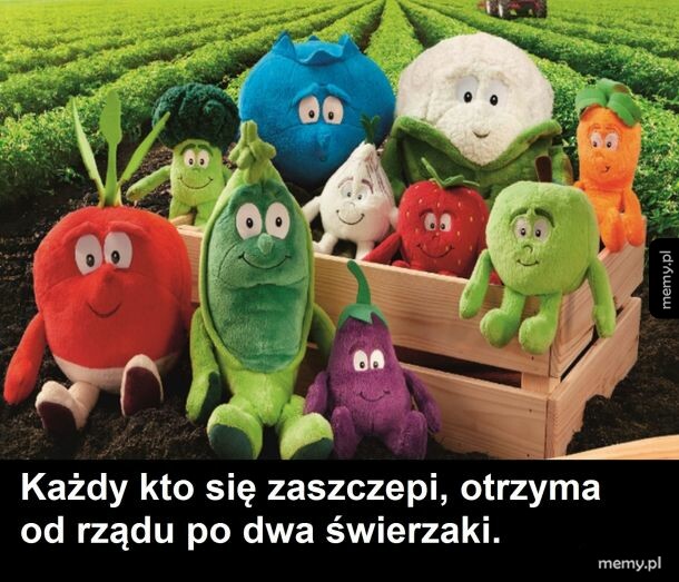 Niesamowita okazja
