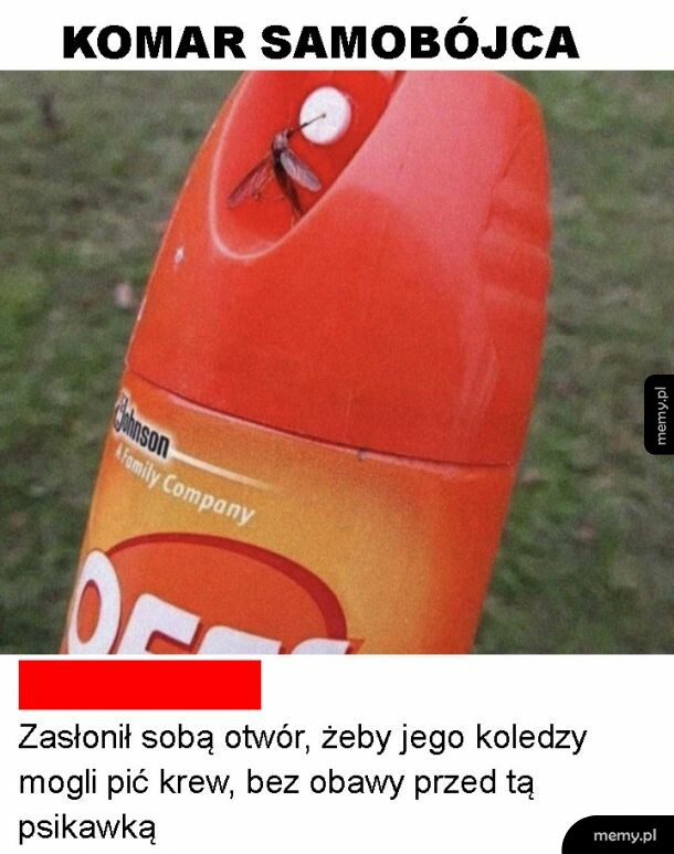 Wspomnienie lata