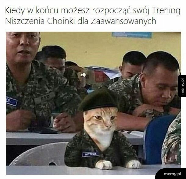 Niszczenie choinki