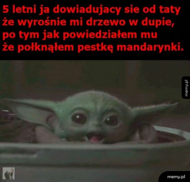Drzewo