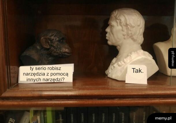 Małpa i homosapiens