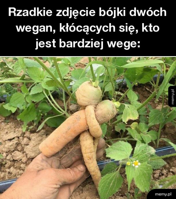 Rzadkie zdjęcie