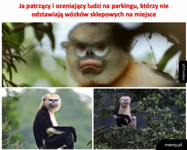 Cały ja