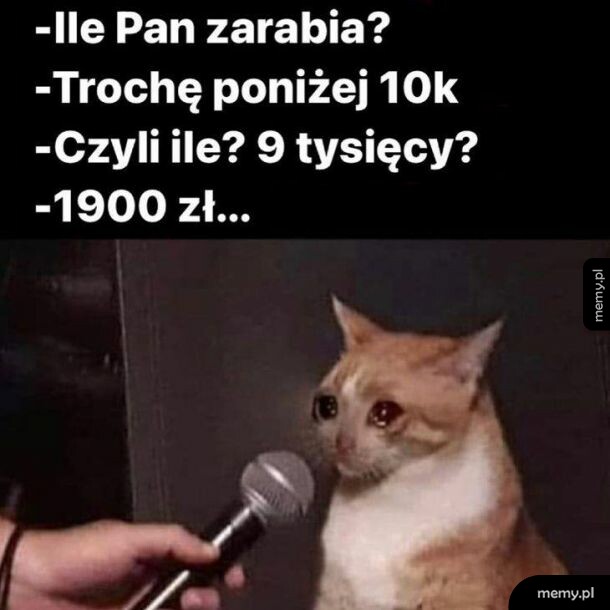 Trochę poniżej...