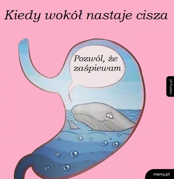 Czasem u dentysty, czasem na zajęciach