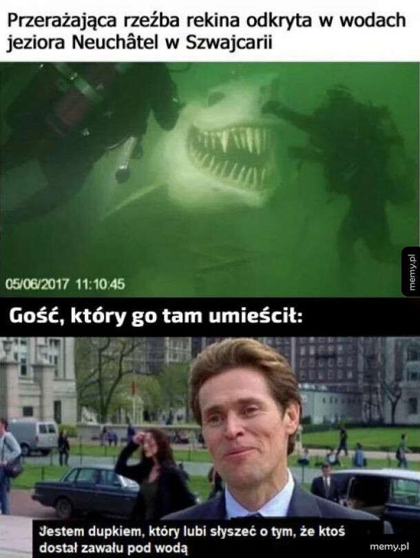 Rzeźba rekina