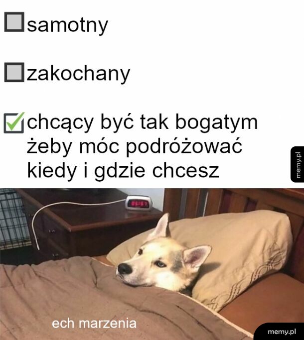 Marzenia a rzeczywistość