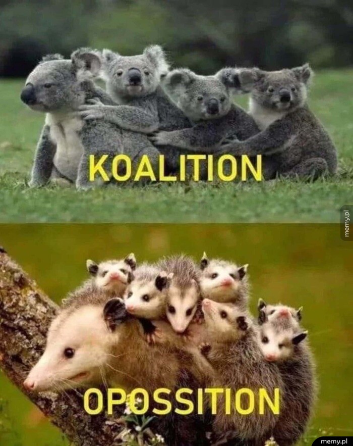 Australijska polityka :D