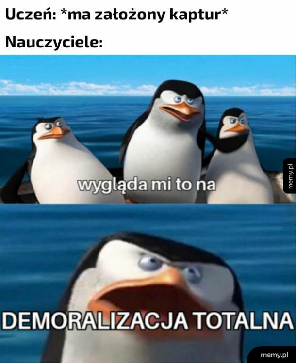 Kaptur