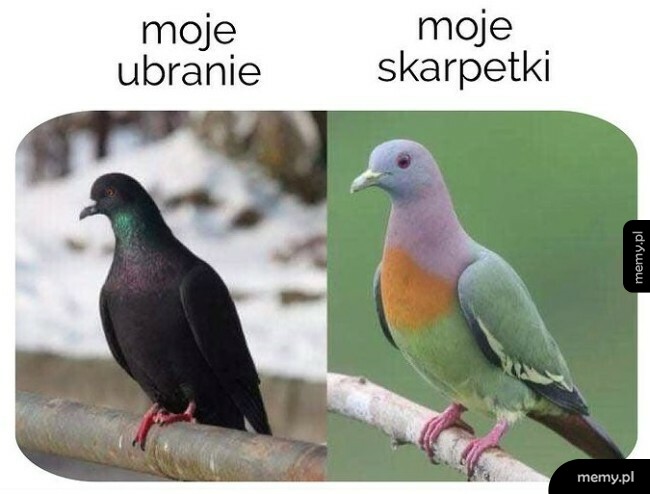 Kolorowe skarpetki