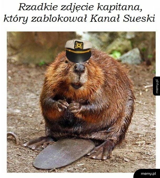 I nic nie płynie