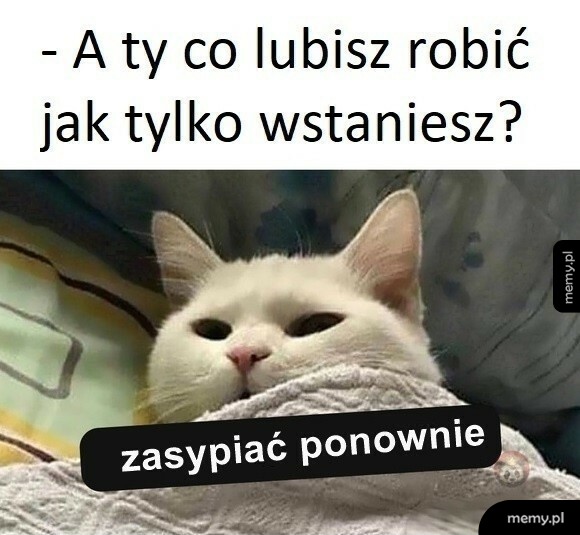 Dokładnie