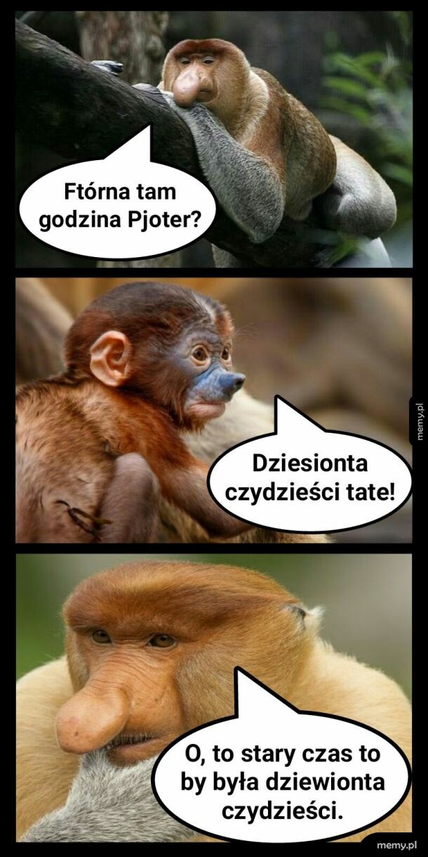 Zawsze