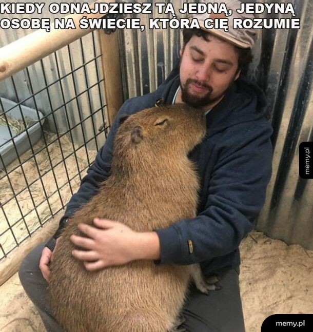 Prawdziwe porozumienie